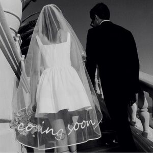 Staud Coming Soon Embroidered Veil